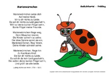 Marienwürmchen-Arnim.pdf